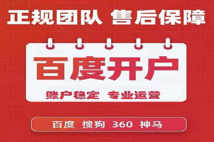 搜索引擎营销（SEM）的精准投放技巧案例